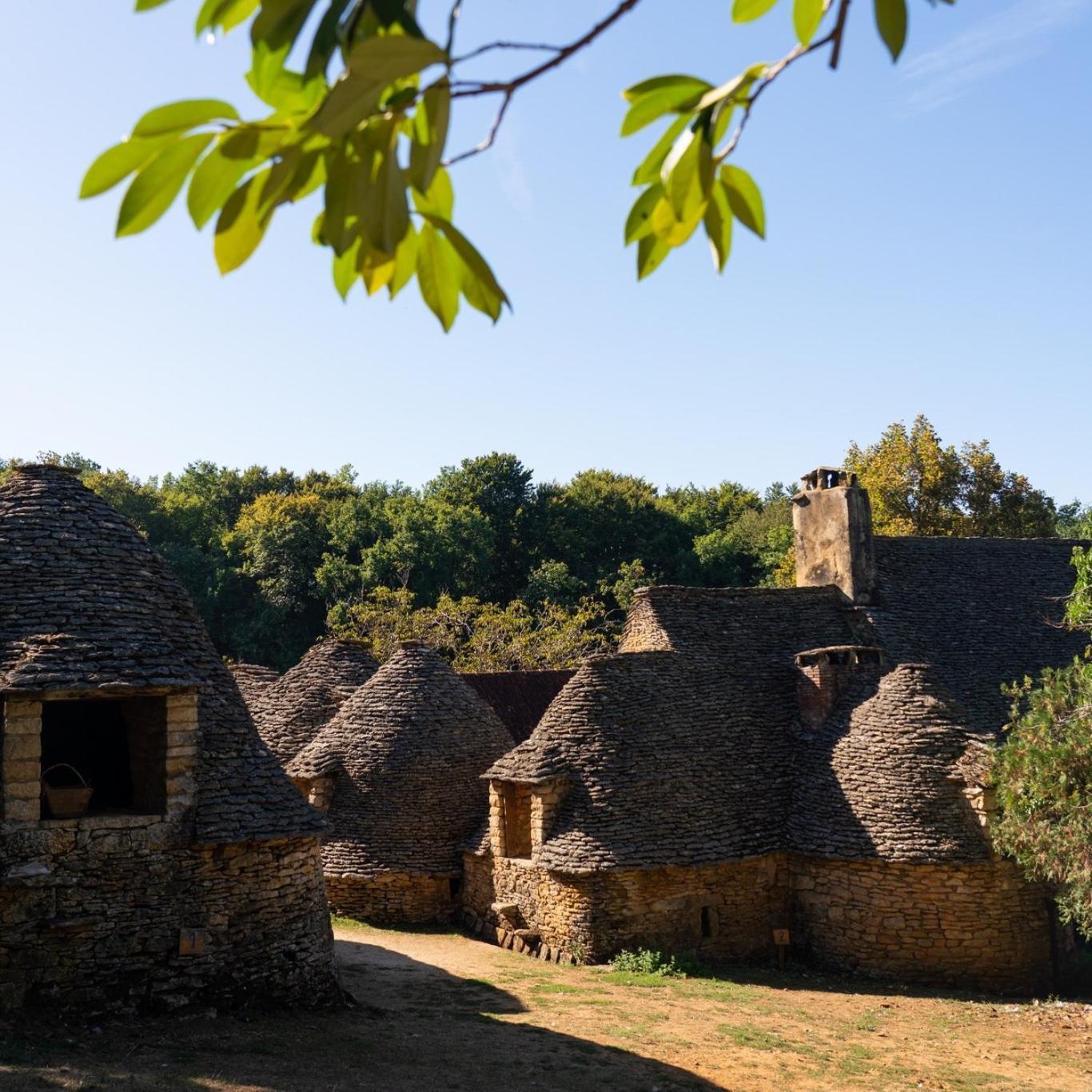 Maison En Perigord Proche Beynac Et Sarlat Cenac-et-Saint-Julien Екстер'єр фото